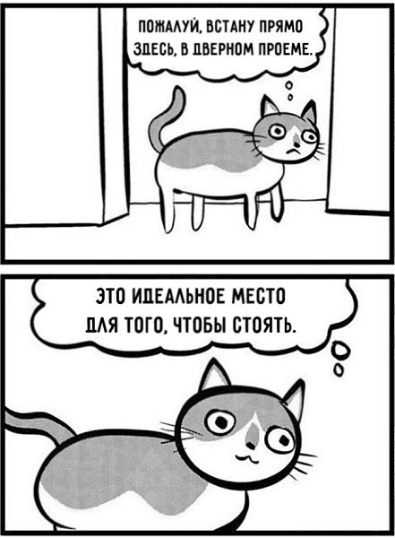 15 ,     