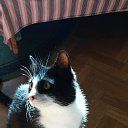 ���� �������, �����, 50 ��� - ��������� 17 ���� 2017 � ������ ��������