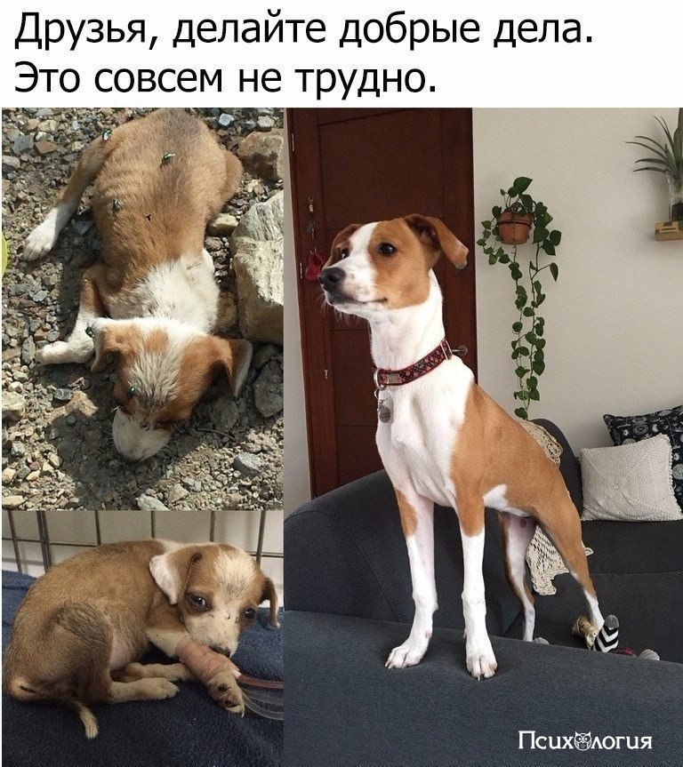  - 8  2017  15:17