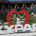 ���� ����, ��������� - ��������� 3 ������� 2017 � ������ ���� ����������