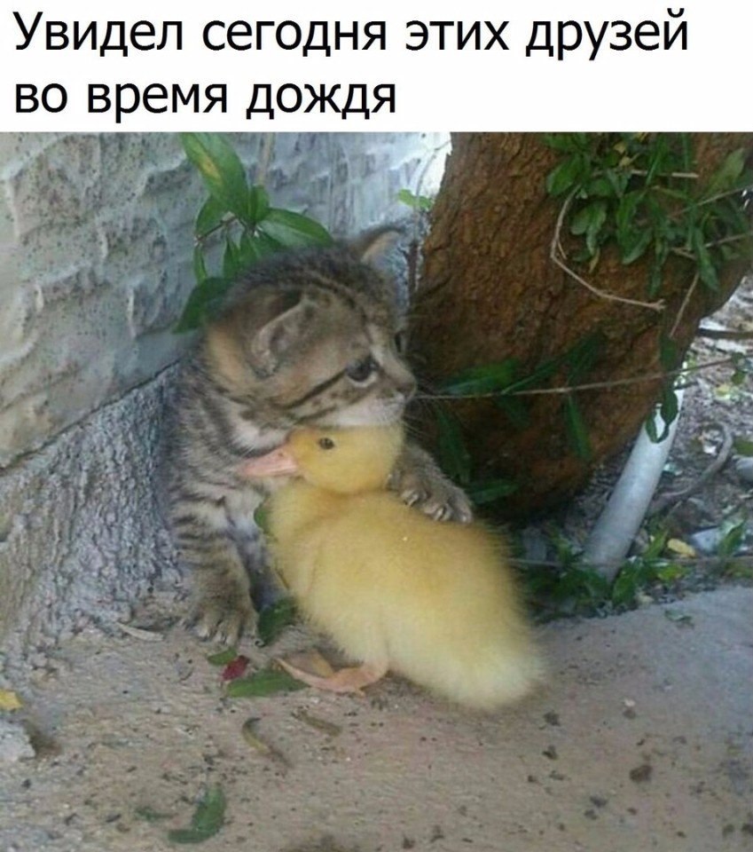   - 30  2017  01:47