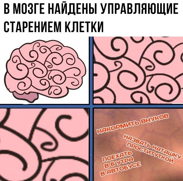    - 29  2017  07:33
