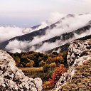  .,  -  3  2017      )