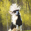 ���� ������, �����������, 75 ��� - ��������� 20 ���� 2017 � ������ ����Ȼ