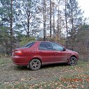 ���� ���������, ������ ��������, 49 ��� - ��������� 26 ���� 2017 � ������ ���� ����������