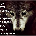 ���� Cyber, ���������, 44 ���� - ��������� 8 ���� 2017