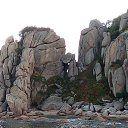 ���� �������, �����������-��-�����, 50 ��� - ��������� 1 ������� 2017 � ������ ���� ����������