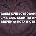 Dfkz,  -  5  2017    