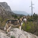  Oks...,  -  30  2017    