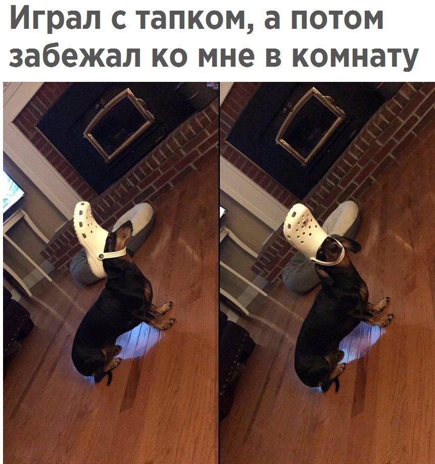  - 8  2017  12:10