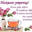 ���� ���� ���������, ������, 44 ���� - ��������� 15 ���� 2017 � ������ ���� ����������