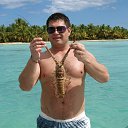 ���� ������, �����, 48 ��� - ��������� 8 ������ 2017 � ������ ���� ����������