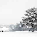 ���� �����, ����, 40 ��� - ��������� 16 �������� 2017 � ������ �����