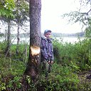 ���� �����, ����������, 49 ��� - ��������� 16 ���� 2017 � ������ ���� ����������