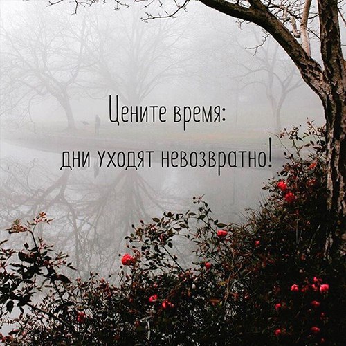   -  ,  -  - 12  2017  20:27