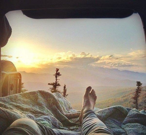   ,    ,    , -    . ...