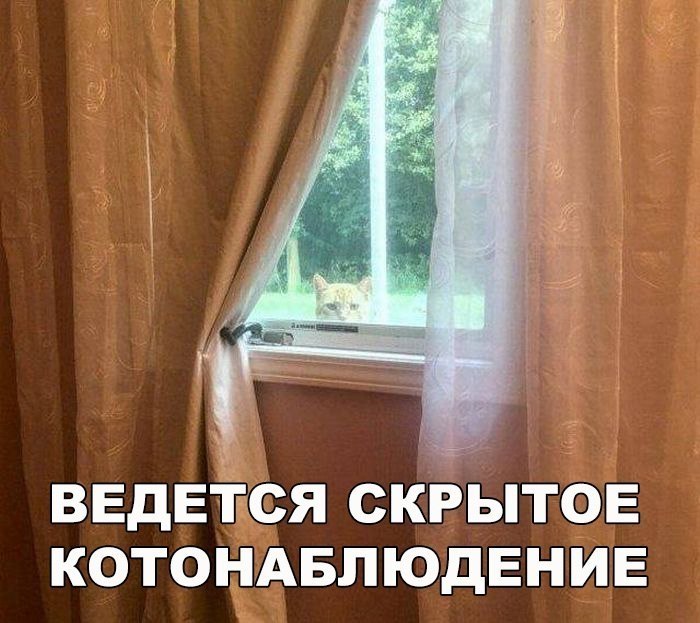    :D - 22  2017  21:35
