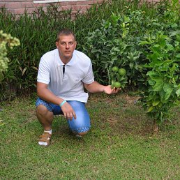 ���� �����, ������, 39 ��� - ��������� 2 ������� 2017