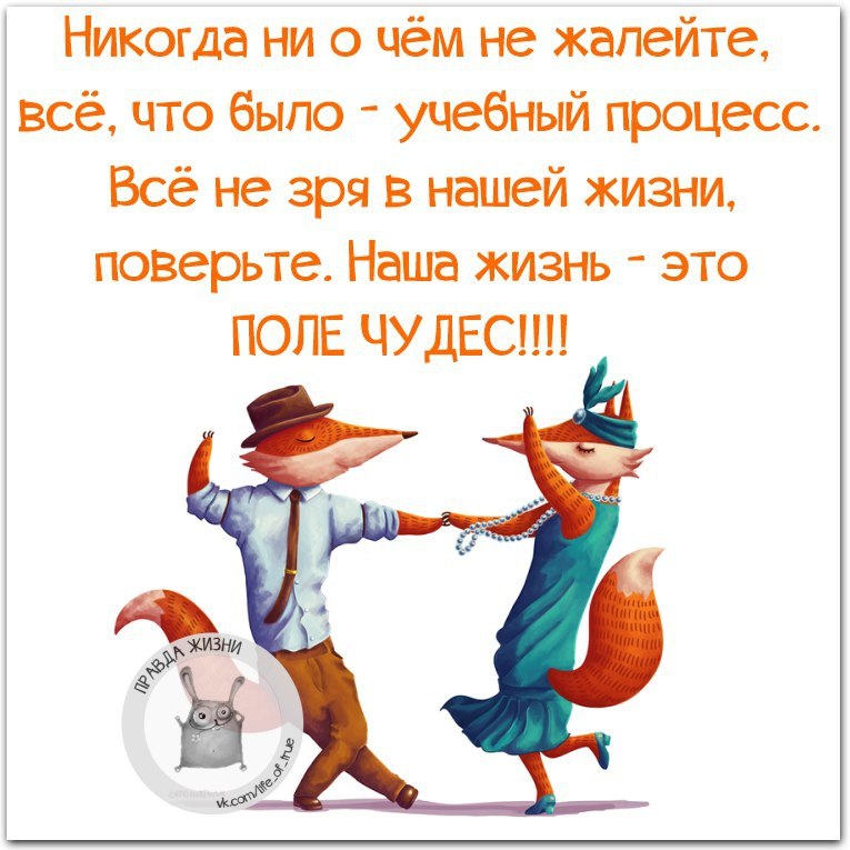   - 10  2017  02:14