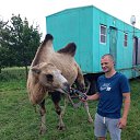 ���� �������, �����-���������, 46 ��� - ��������� 13 ������ 2017 � ������ ���� ����������