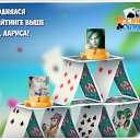  (*_*) , , 40  -  28  2017    -