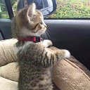 ���� Arthur, �������, 46 ��� - ��������� 27 ������ 2017