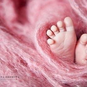   - 18  2017  15:48 - 3