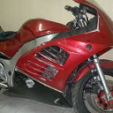 ���� ������, �����������, 49 ��� - ��������� 31 ������� 2017
