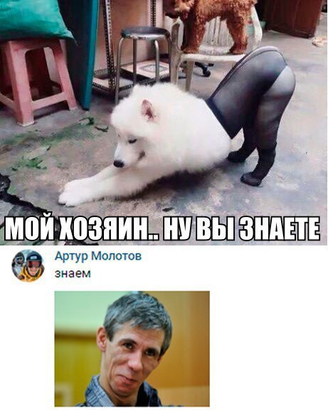    :D - 8  2017  16:37