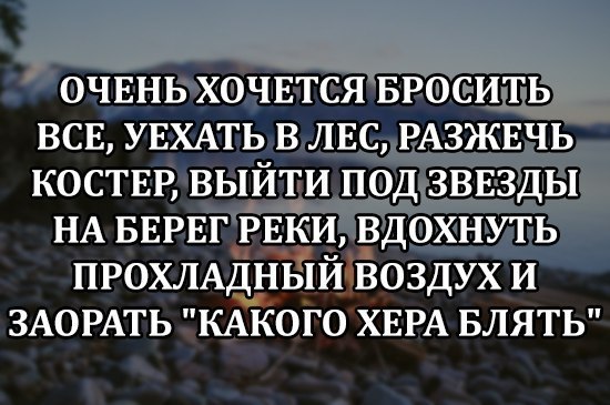  - 1  2017  04:54