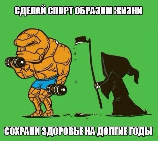 SportFeed - 6  2017  19:26