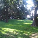  , , 60  -  16  2017    -, 2017