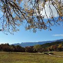  , , 60  -  1  2017   , ,29.10.17.