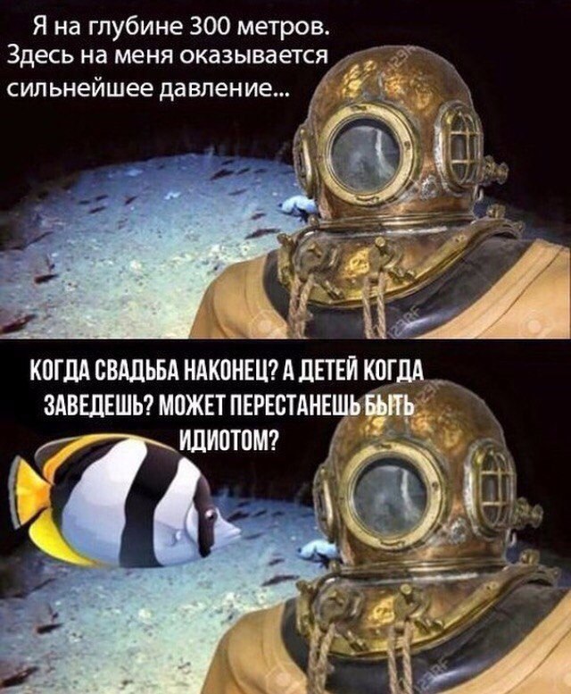   - 3  2017  08:41