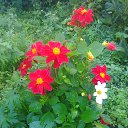 ���� Nikolay, ������ ��������, 73 ���� - ��������� 2 ������� 2017 � ������ ���� ����������