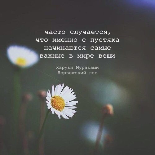     - 11  2017  13:28