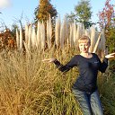 ���� �������, ������������, 50 ��� - ��������� 6 ��� 2017