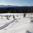 ���� ����������, ����������, 49 ��� - ��������� 14 �������� 2017 � ������ ���� ����