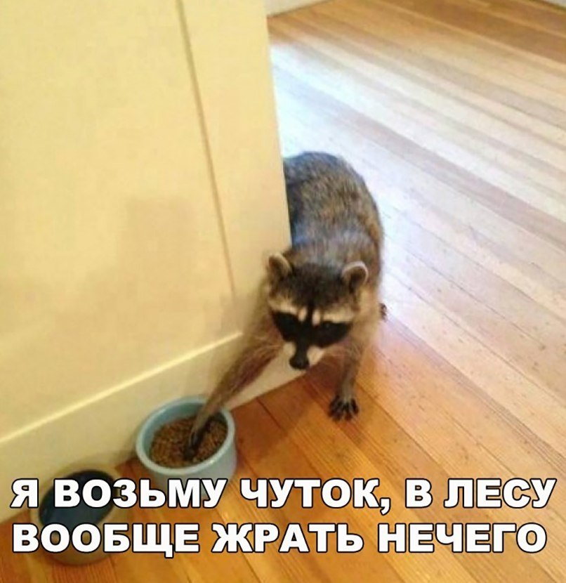    :D - 7  2017  00:32