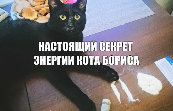   - 17  2017  07:06