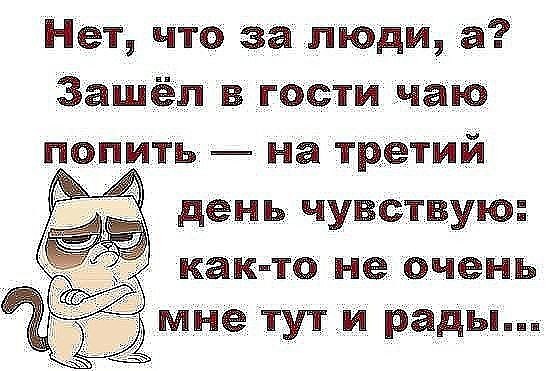 Comedy Club - 16  2017  14:08