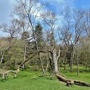  , , 60  -  23  2017    - 2017