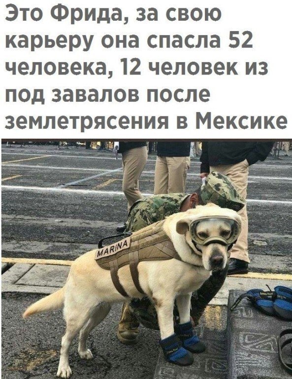   :    - 1  2017  03:51