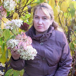 ��������, ������������, 53 ����