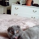 ���� Marusia, ������, 55 ��� - ��������� 17 �������� 2017 � ������ �Sonia�