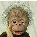 ���� �������, ������������ - ��������� 16 ������ 2017 � ������ ���� ����������