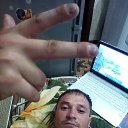  ,  , 41  -  26  2017    