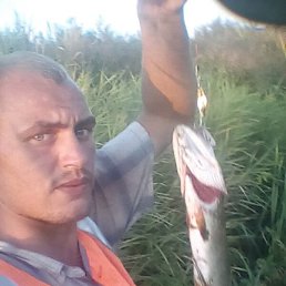 ������, �����������, 32 ����