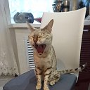 �� ������ �� ������� ���� ����������