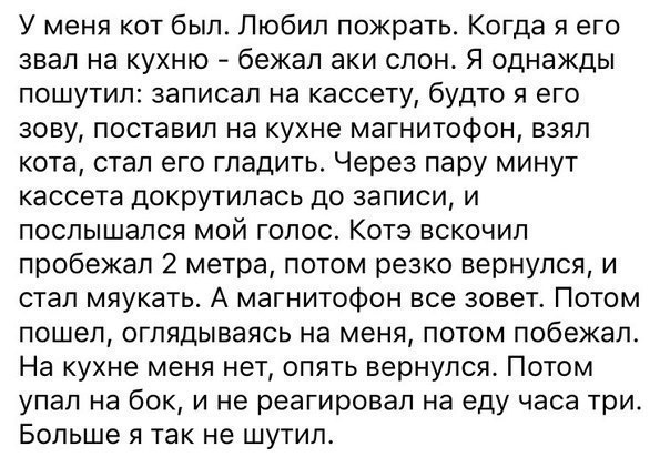   - 28  2017  20:35